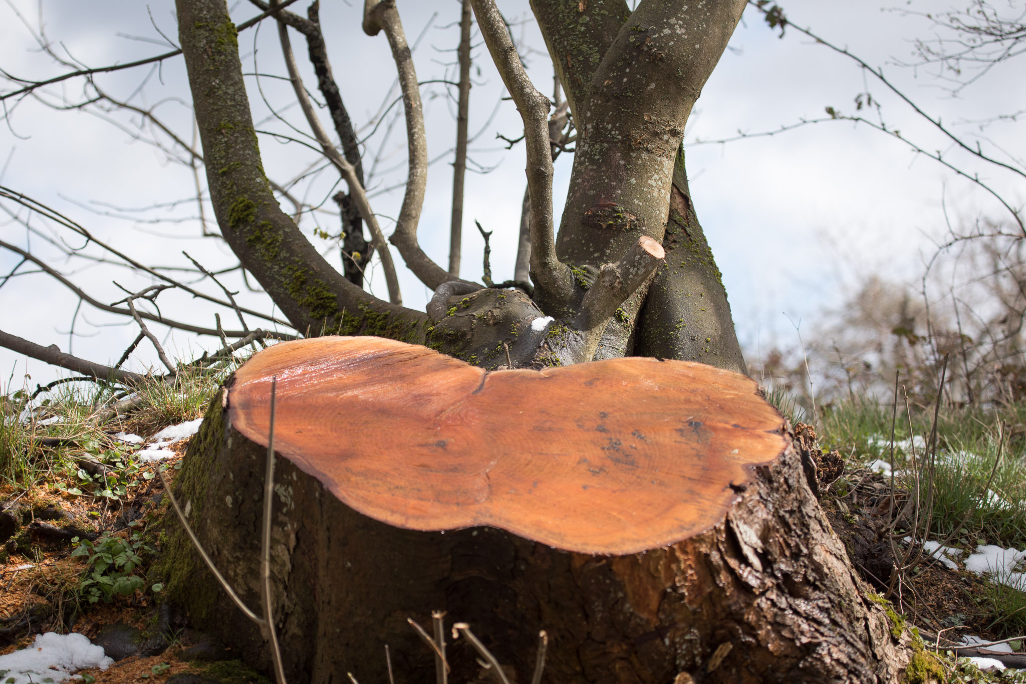 20220409142903 RD4 6419